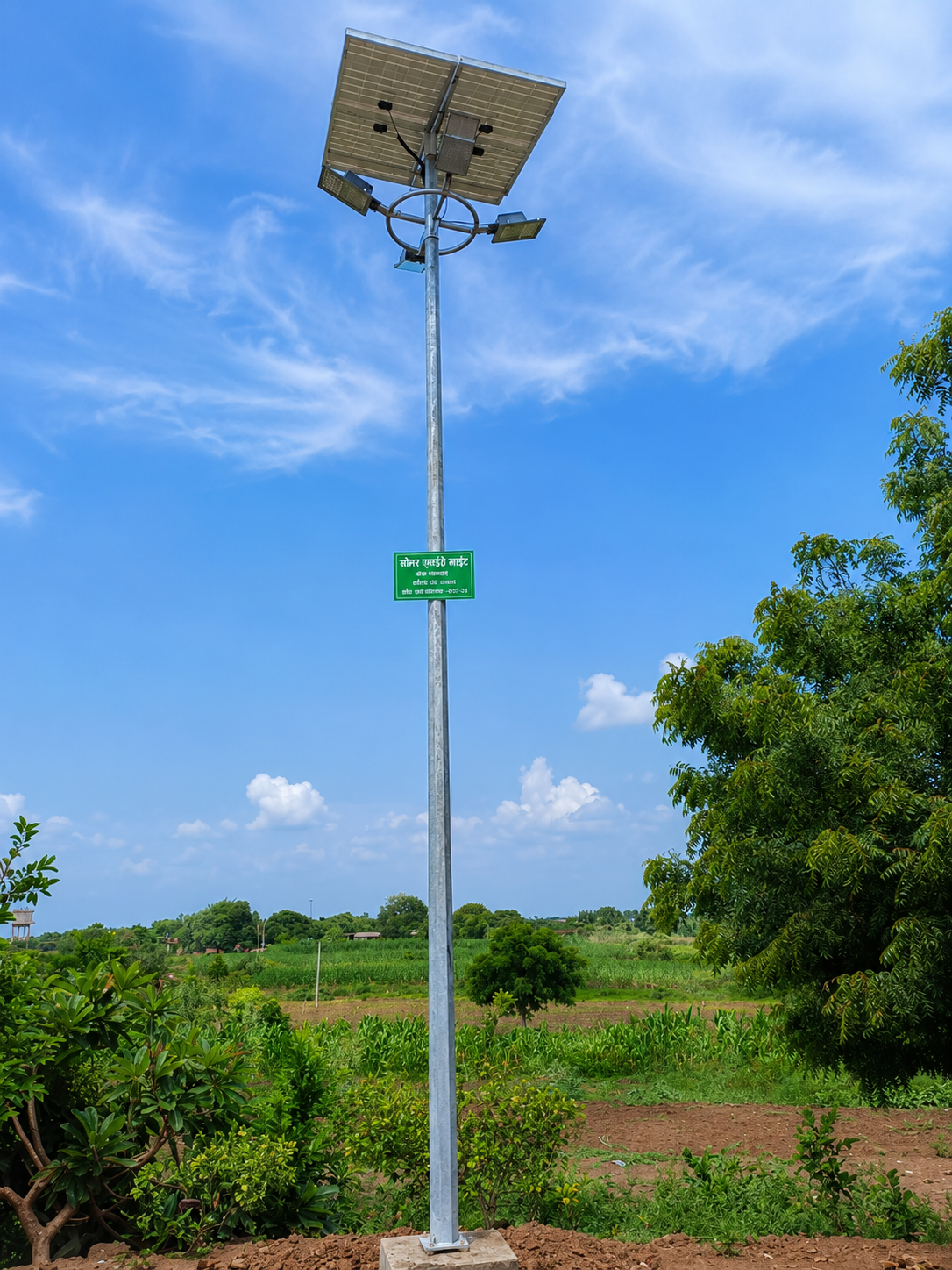 Solar Hybrid Decorative Light